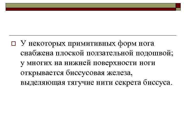 o У некоторых примитивных форм нога снабжена плоской ползательной подошвой; у многих на нижней