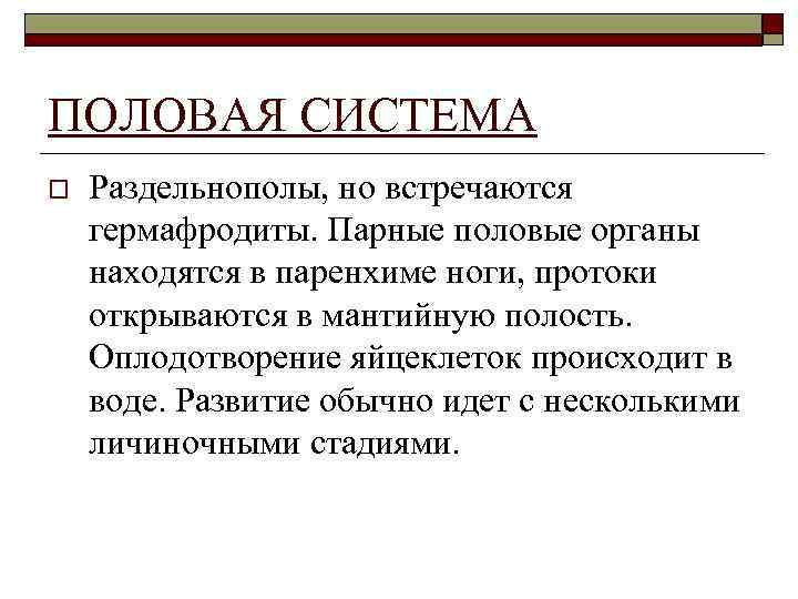 ПОЛОВАЯ СИСТЕМА o Раздельнополы, но встречаются гермафродиты. Парные половые органы находятся в паренхиме ноги,