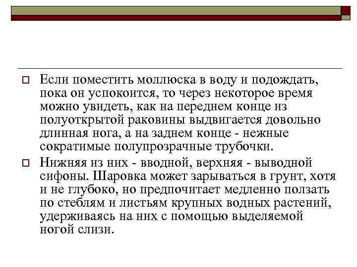 o o Если поместить моллюска в воду и подождать, пока он успокоится, то через