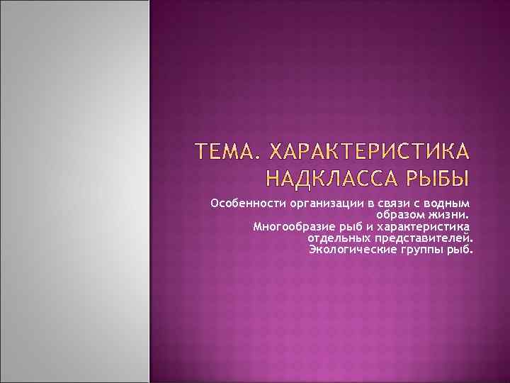 Особенности организации в связи с водным образом жизни. Многообразие рыб и характеристика отдельных представителей.