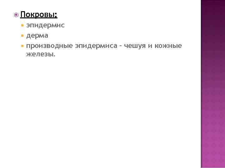  Покровы: эпидермис дерма производные эпидермиса – чешуя и кожные железы. 