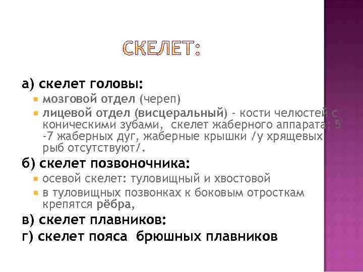а) скелет головы: мозговой отдел (череп) лицевой отдел (висцеральный) - кости челюстей с коническими