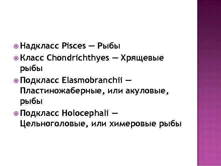  Надкласс Pisces — Рыбы Класс Chondrichthyes — Хрящевые рыбы Подкласс Elasmobranchii — Пластиножаберные,