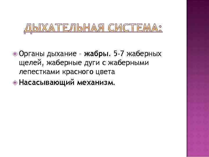  Органы дыхание – жабры. 5 -7 жаберных щелей, жаберные дуги с жаберными лепестками