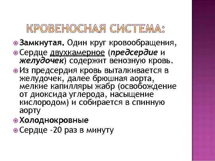  Замкнутая. Один круг кровообращения, Сердце двухкамерное (предсердие и желудочек) содержит венозную кровь. Из