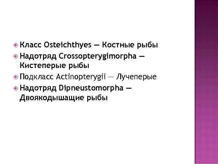  Класс Osteichthyes — Костные рыбы Надотряд Crossopterygimorpha — Кистеперые рыбы Подкласс Actinopterygii —