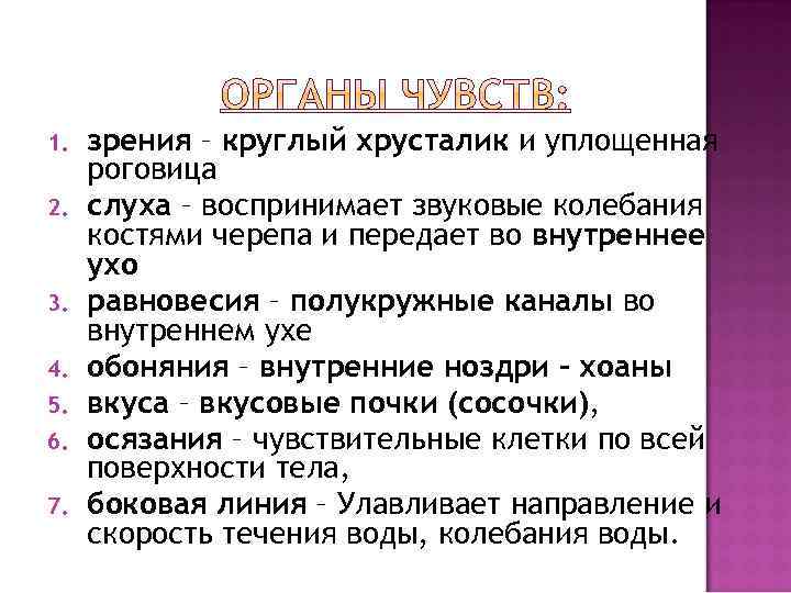 1. 2. 3. 4. 5. 6. 7. зрения – круглый хрусталик и уплощенная роговица