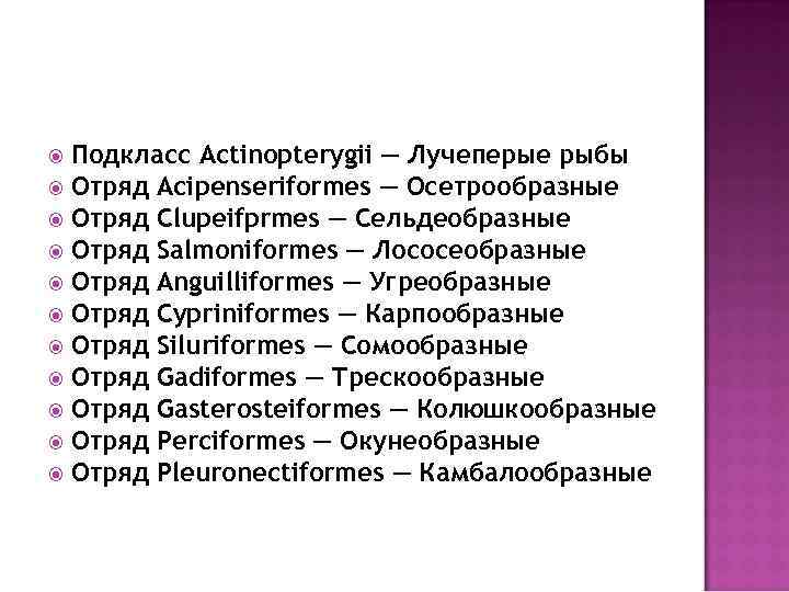 Подкласс Actinopterygii — Лучеперые рыбы Отряд Acipenseriformes — Осетрообразные Отряд Clupeifprmes — Сельдеобразные Отряд