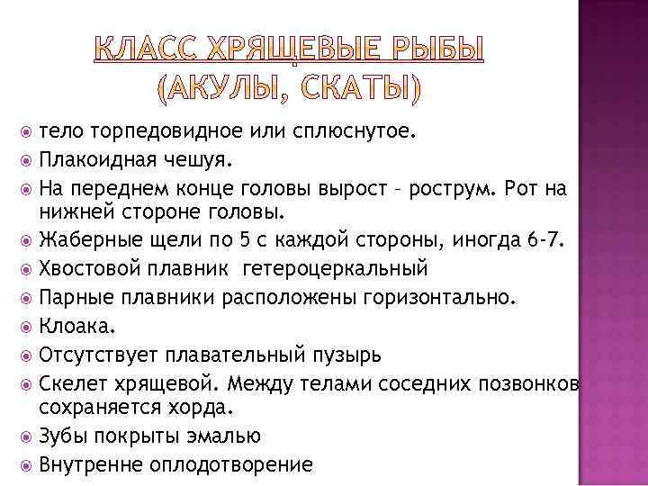тело торпедовидное или сплюснутое. Плакоидная чешуя. На переднем конце головы вырост – рострум. Рот