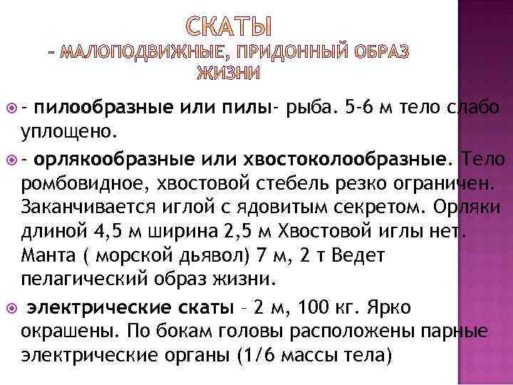  - пилообразные или пилы- рыба. 5 -6 м тело слабо уплощено. - орлякообразные