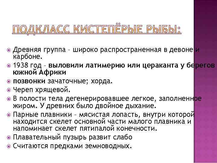 Древняя группа – широко распространенная в девоне и карбоне. 1938 год – выловили латимерию
