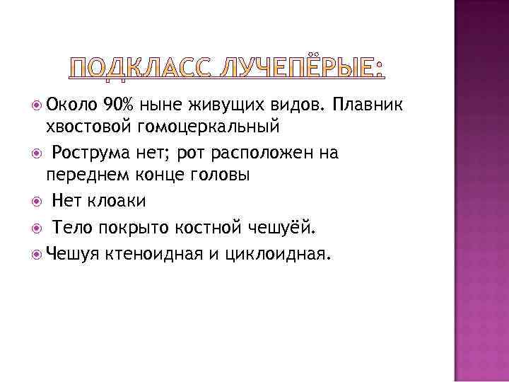  Около 90% ныне живущих видов. Плавник хвостовой гомоцеркальный Рострума нет; рот расположен на