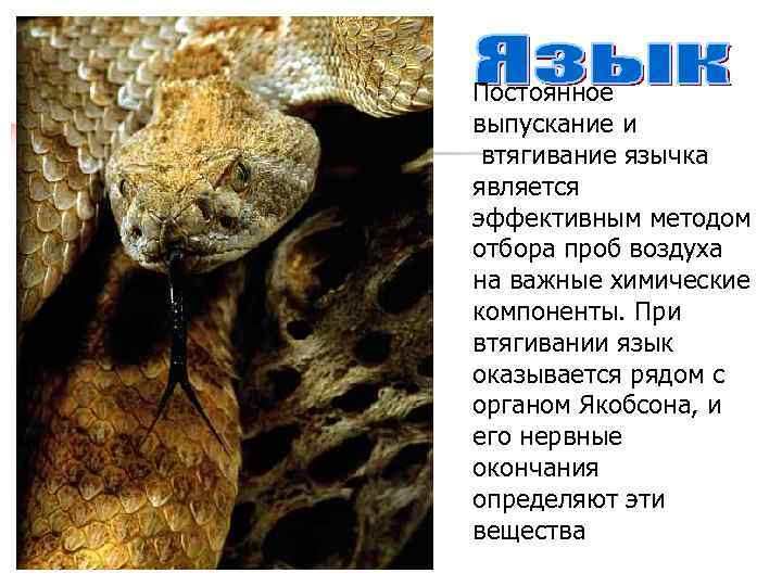 Постоянное выпускание и втягивание язычка является эффективным методом отбора проб воздуха на важные химические