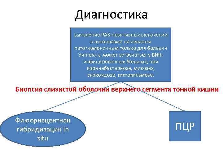 Диагноз выявлен. Болезнь Уиппла этиология. Болезнь Уиппла диагностика. Болезнь Уиппла патогенез. Болезнь Уиппла этиология патогенез.