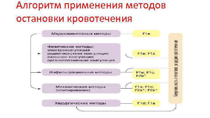 Алгоритм применения методов остановки кровотечения 