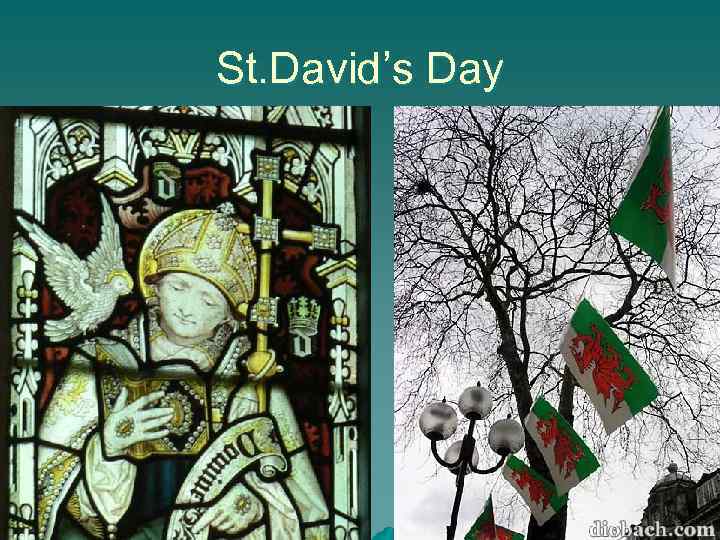 St. David’s Day 