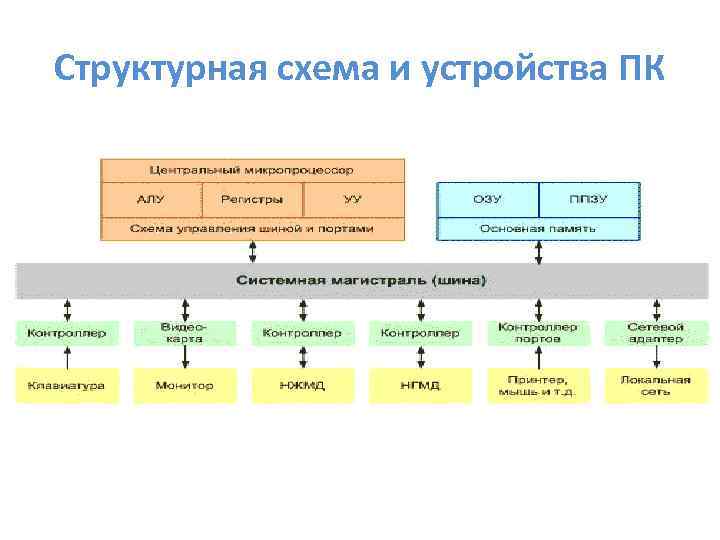 Структурная схема и устройства ПК 