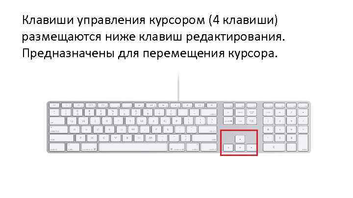 Клавиши управления курсором (4 клавиши) размещаются ниже клавиш редактирования. Предназначены для перемещения курсора. 