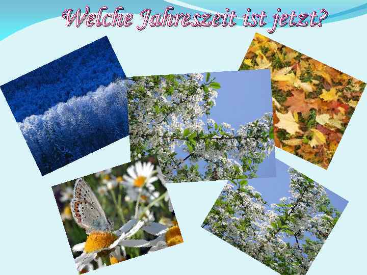 Welche Jahreszeit ist jetzt? 