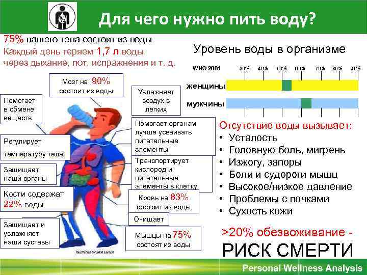 Для чего нужно пить воду? 75% нашего тела состоит из воды Каждый день теряем