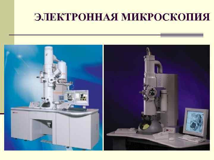 ЭЛЕКТРОННАЯ МИКРОСКОПИЯ 