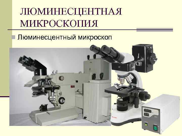 ЛЮМИНЕСЦЕНТНАЯ МИКРОСКОПИЯ n Люминесцентный микроскоп 