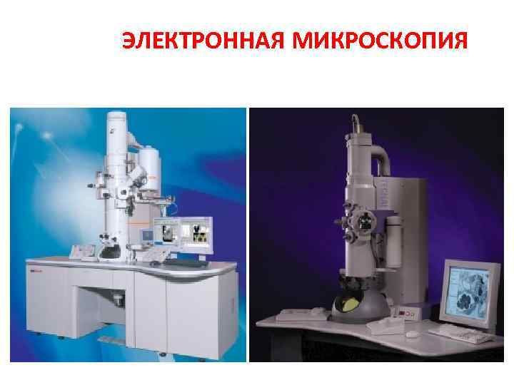 ЭЛЕКТРОННАЯ МИКРОСКОПИЯ 