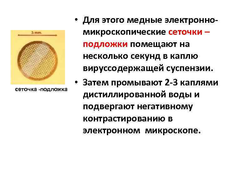 сеточка -подложка • Для этого медные электронно микроскопические сеточки – подложки помещают на несколько