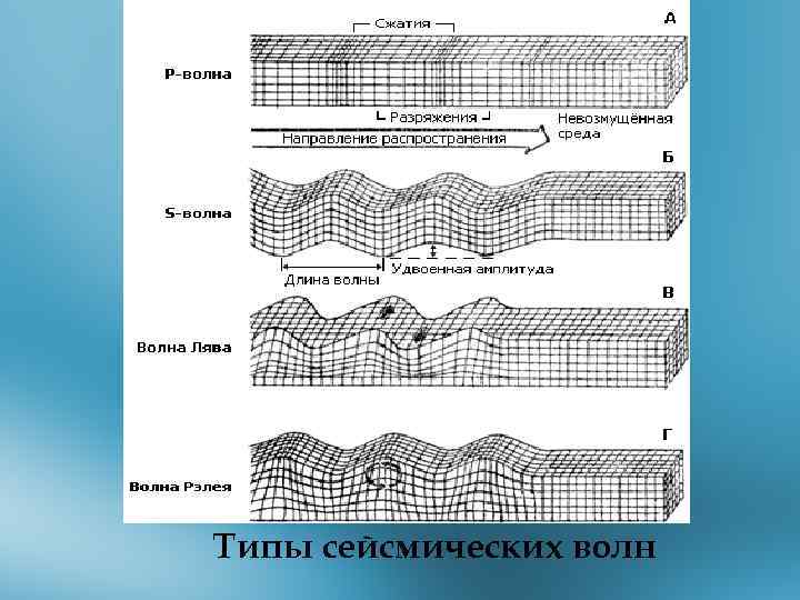 Типы сейсмических волн 