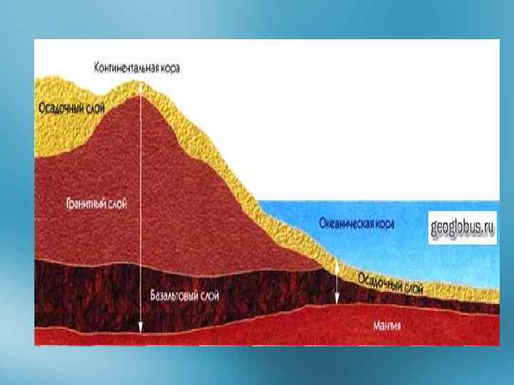 Благодарю за внимание! 