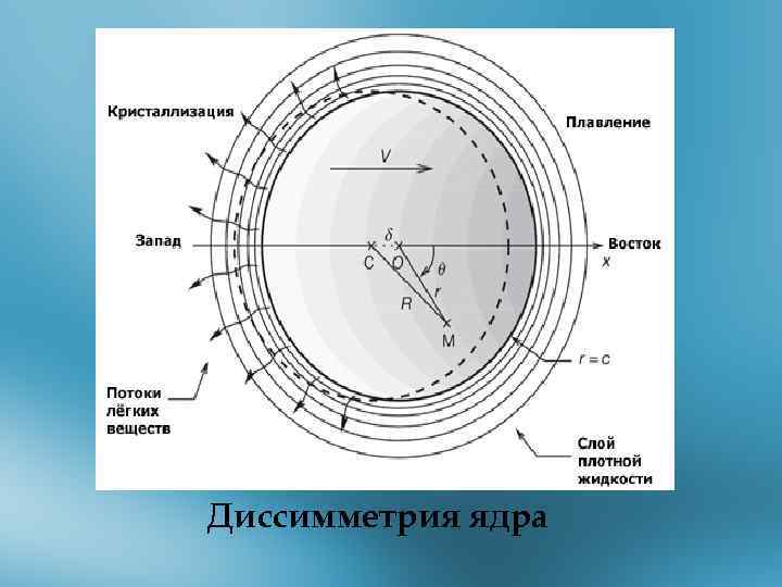 Диссимметрия ядра 