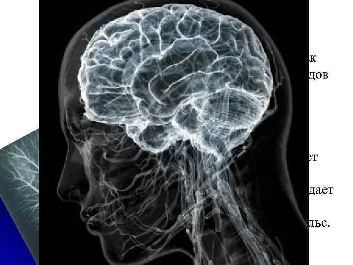 Представьте себе, как один из ста миллиардов нейронов в человеческом мозге ждет в состоянии