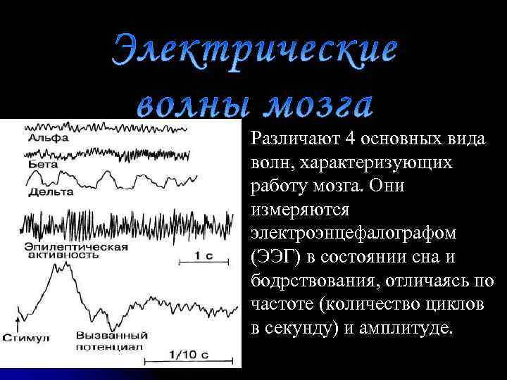 Различают 4 основных вида волн, характеризующих работу мозга. Они измеряются электроэнцефалографом (ЭЭГ) в состоянии