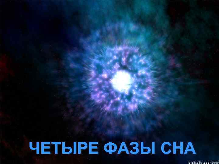 ЧЕТЫРЕ ФАЗЫ СНА 