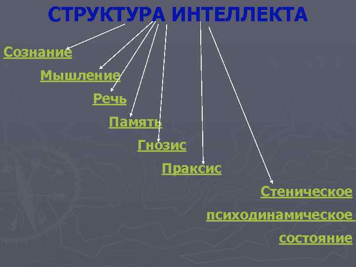 Группы интеллектуальных способностей