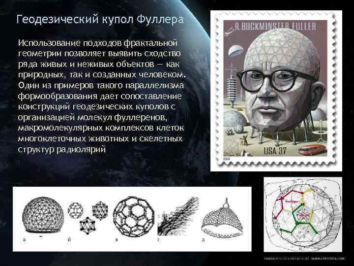 Геодезический купол Фуллера Использование подходов фрактальной геометрии позволяет выявить сходство ряда живых и неживых