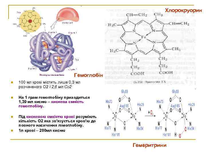 Хлорокруорин Гемоглобін n 100 мл крові містять лише 0, 3 мл розчиненого О 2