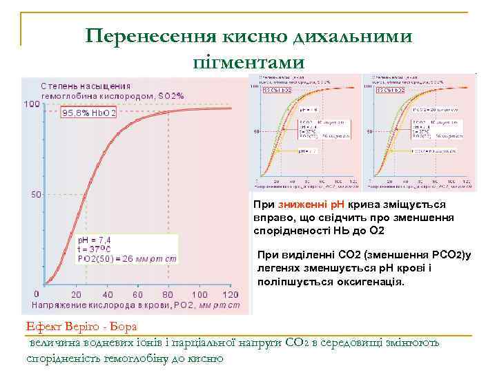 Перенесення кисню дихальними пігментами При зниженні р. Н крива зміщується вправо, що свідчить про