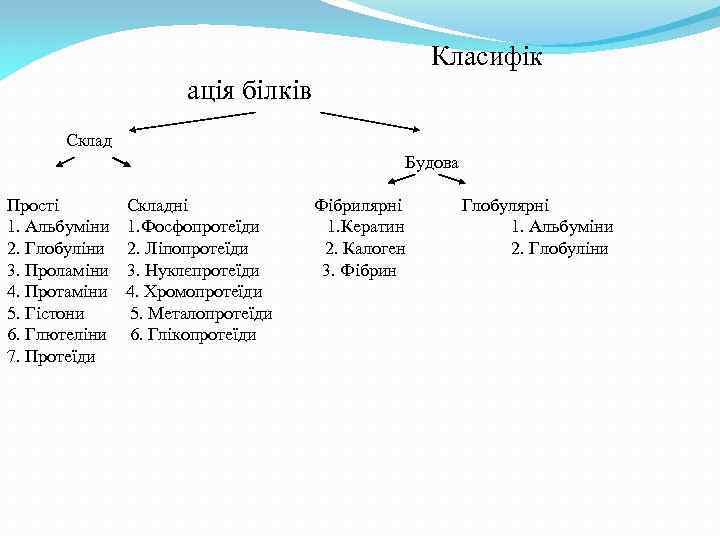  Класифік ація білків Склад Будова Прості Складні Фібрилярні 1. Альбуміни 1. Фосфопротеїди 1.