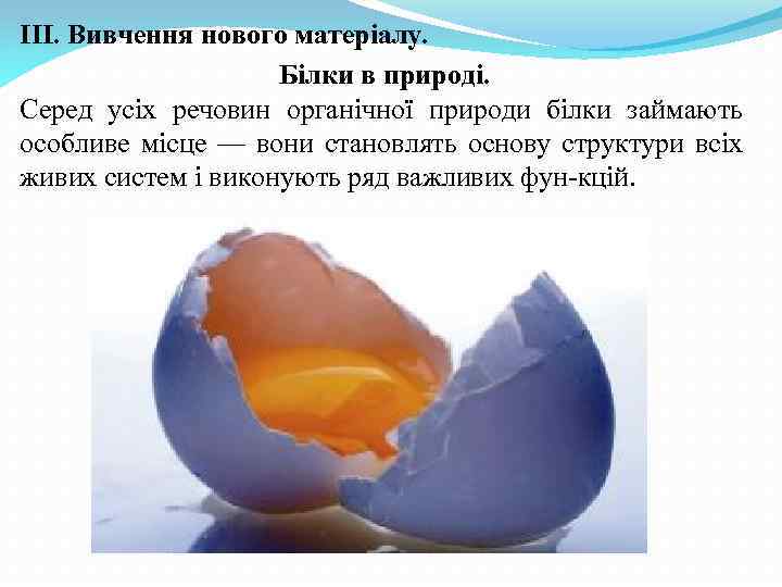 IIІ. Вивчення нового матеріалу. Білки в природі. Серед усіх речовин органічної природи білки займають