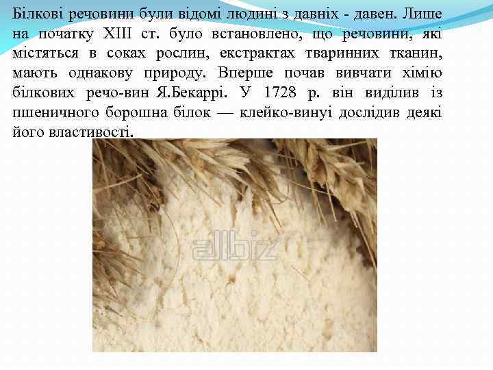 Білкові речовини були відомі людині з давніх давен. Лише на початку XIII ст. було