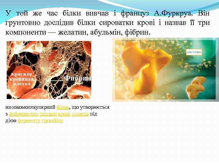 У той же час білки вивчав і француз А. Фуркруа. Він грунтовно дослідив білки