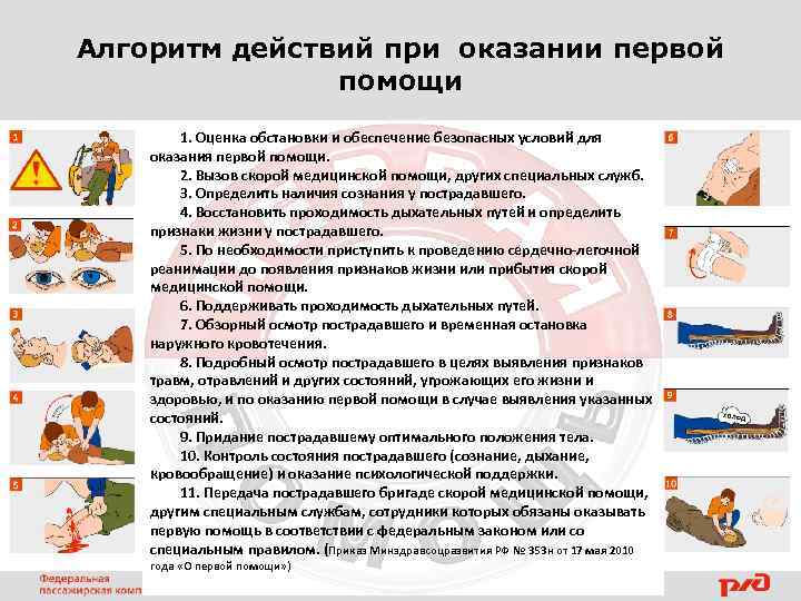 Алгоритм действий при оказании первой помощи 1. Оценка обстановки и обеспечение безопасных условий для