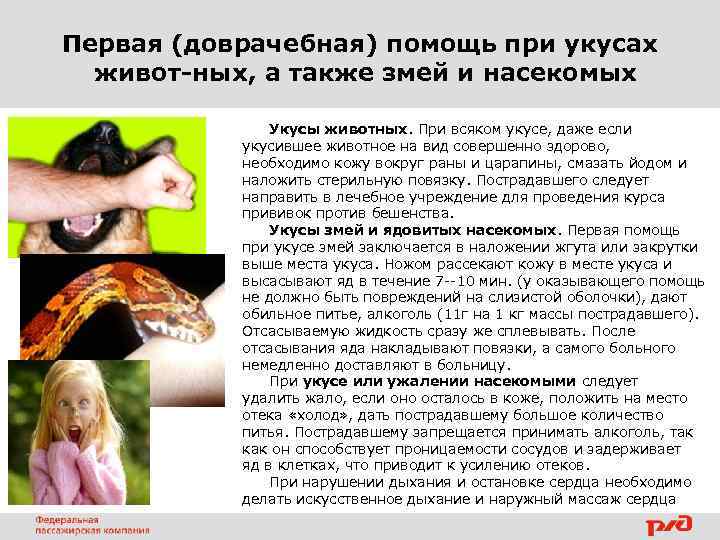 Первая (доврачебная) помощь при укусах живот ных, а также змей и насекомых Укусы животных.
