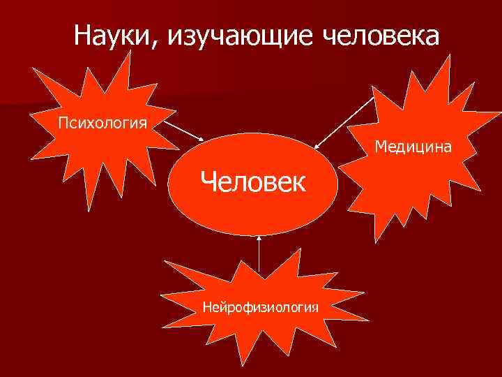 Науки, изучающие человека Психология Медицина Человек Нейрофизиология 