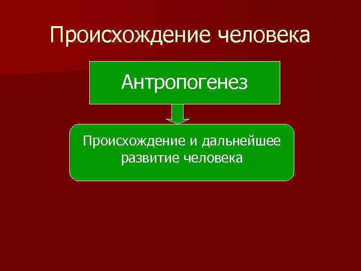 Происхождение человека Антропогенез Происхождение и дальнейшее развитие человека 