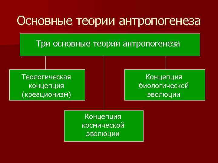 Основные теории антропогенеза Три основные теории антропогенеза Теологическая концепция (креационизм) Концепция биологической эволюции Концепция