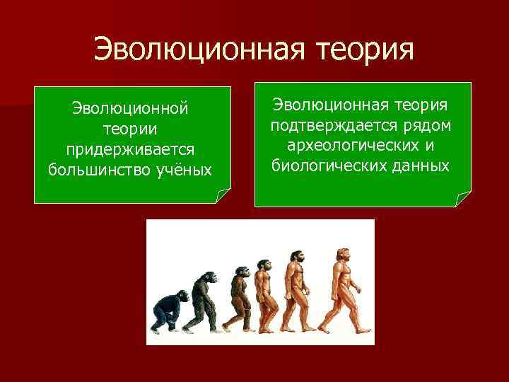 Эволюционная теория Эволюционной теории придерживается большинство учёных Эволюционная теория подтверждается рядом археологических и биологических