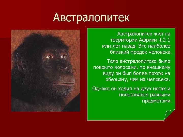 Австралопитек жил на территории Африки 4, 2 -1 млн. лет назад. Это наиболее близкий