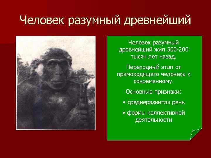 Человек разумный древнейший жил 500 -200 тысяч лет назад. Переходный этап от прямоходящего человека